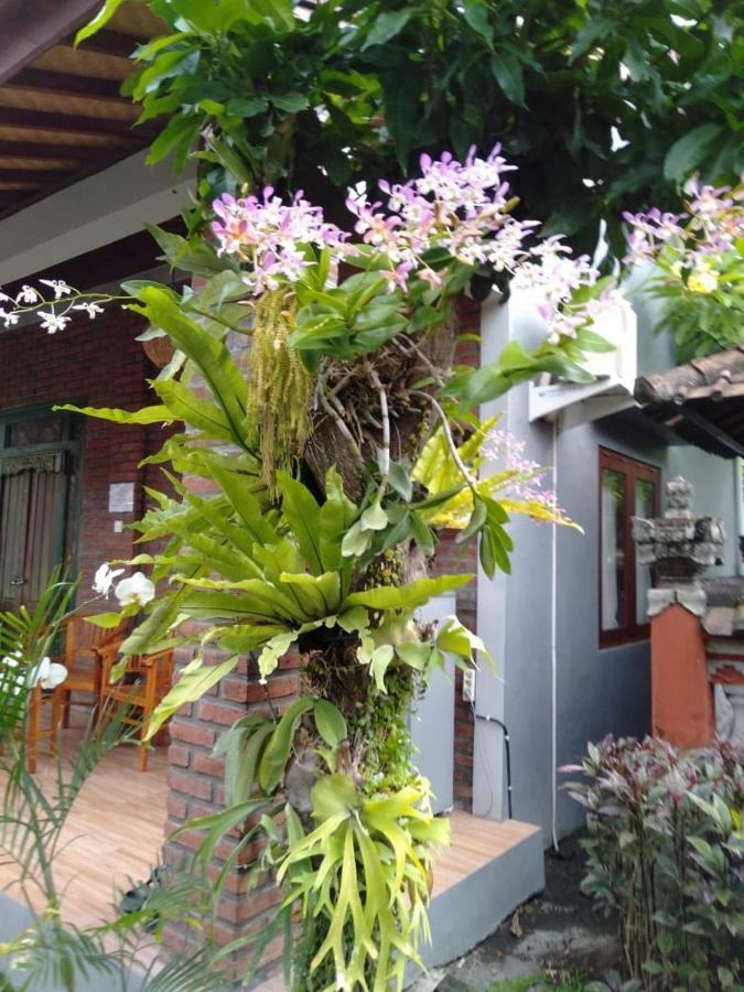 Twins Homestay Canggu Buitenkant foto
